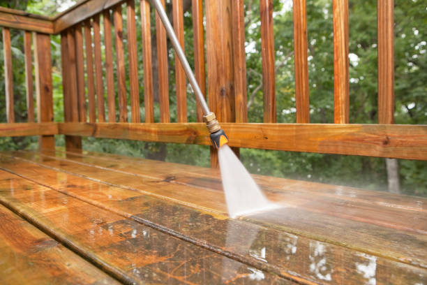 Best Dumpster Area Cleaning  in Inesville, GA