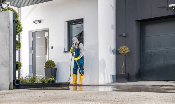 Boat and Dock Cleaning in Gainesville, GA